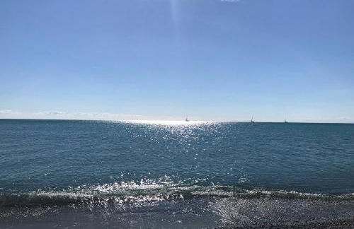 Tartaruga House - Foto 27