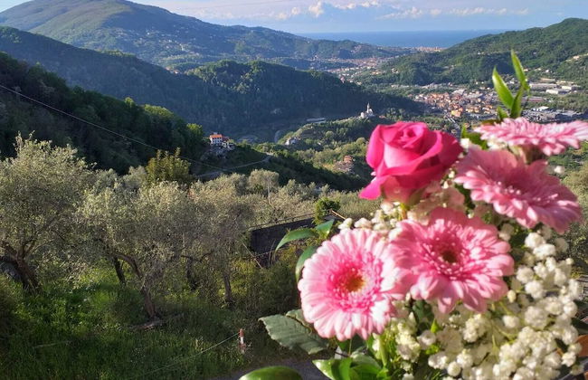 Peace & Plenty 2 - a few Minutes From the sea - Foto 10