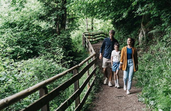 Haven Mountain Retreat - Foto 77