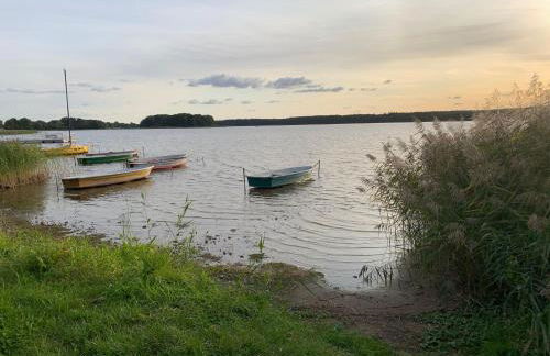 Villa Blau am Useriner See mit Garten - Photo 24