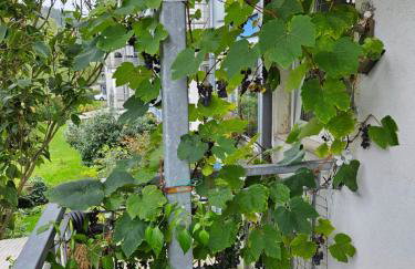 Donau Apartment - Foto 12