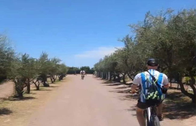 Alquiler de bicicleta en Maipú - Foto 11