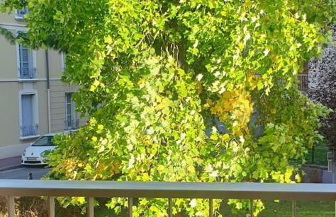 La Clé de Jules - Foto 8