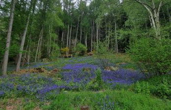 Modern and spacious 2 bedroom apartment with free parking - Photo 62