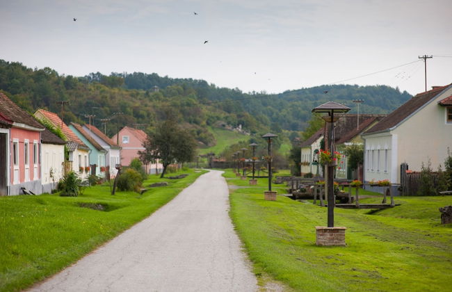 Country House Stara Kapela - Foto 50