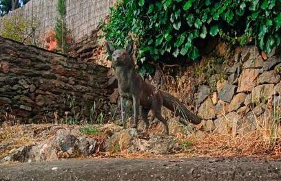 Cercado de arriba - Foto 34