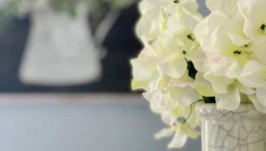 Green Roof Inn - Centrally Located 2BR/1BA Home - Foto 4