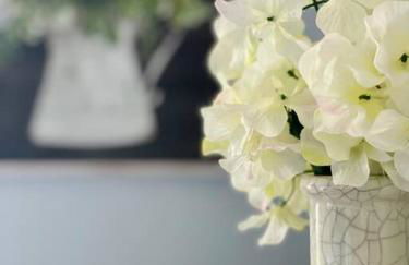 Green Roof Inn - Centrally Located 2BR/1BA Home - Foto 4