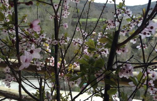 Casa Concejos - Foto 16