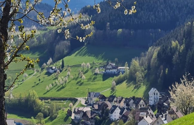 Apartment With Garden - Foto 33