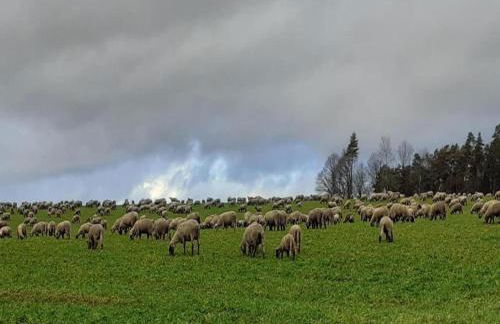 Apartment with terrace and pool in the garden - Foto 38