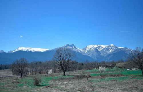 Lake Plastira Lodge - Photo 32