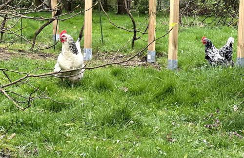 Kuscheltage im Zirkuswagen am Kanal im Münsterland - Foto 27
