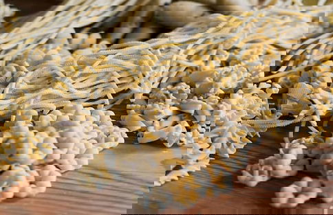 Agriturismo Corte Gaia - Foto 16