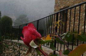 Saluda Alta - Foto 32