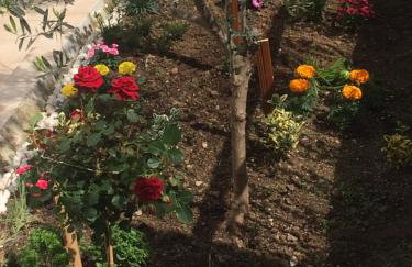 Aigaiou House - Foto 32