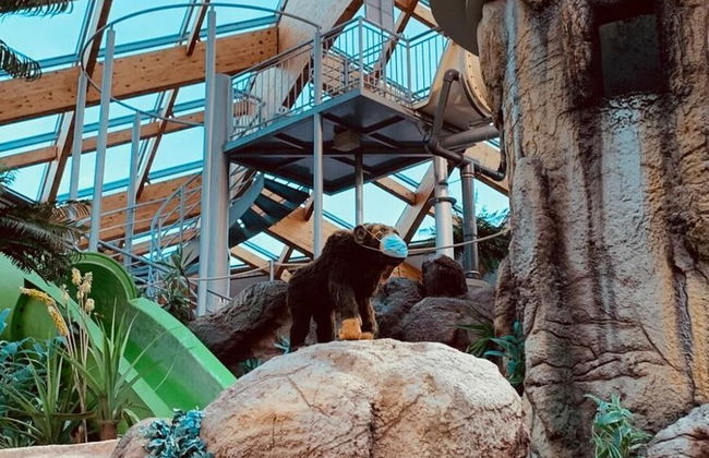 Mad House Apartment 1, Terme Čatež - Foto 14