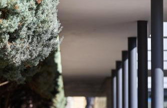 Villa 7 Masterwork Contemporary - Foto 95