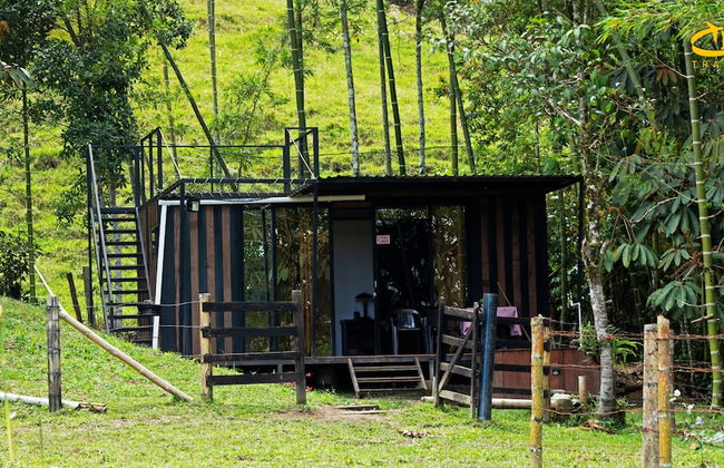 Hotel Selva Negra - Photo 36