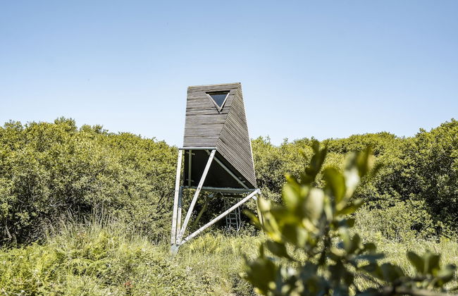 K4 Kudhva Treehouse Cabin With sea View - Photo 20