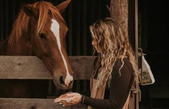 Bourbon Trail: Caboose on the Farm - Foto 8