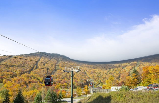 1325 Studio @ The Lodge at Spruce Peak - Photo 20