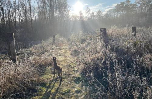 Apartment with terrace and pool in the garden - Foto 33
