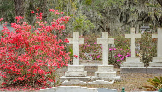 Bonaventure, uno dei cimiteri più belli al mondo