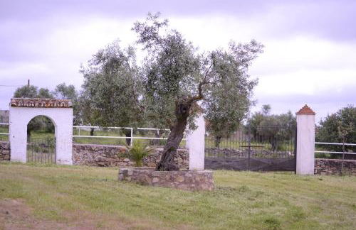 Casa Rural Los Jarales Número Registro TR-CC-00365 - Foto 4