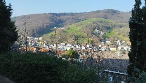 Das Tor zum Odenwald - Foto 3