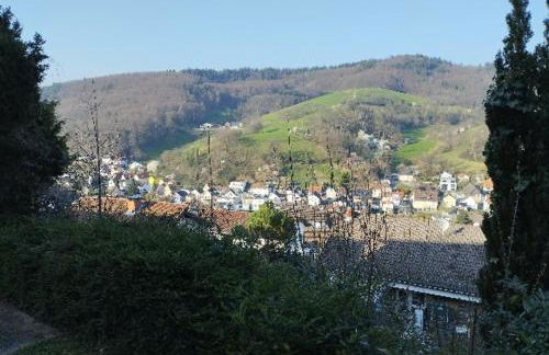 Das Tor zum Odenwald - Photo 3