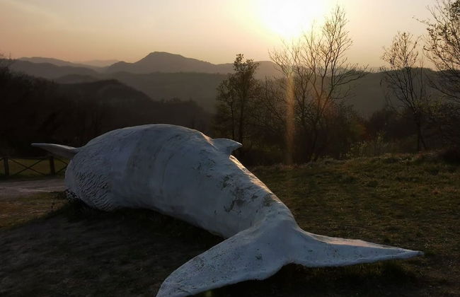 relais Cà del rio - Photo 60