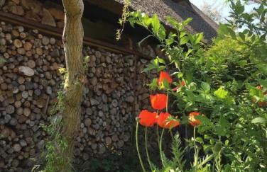 Koras Dachkammer - Foto 18