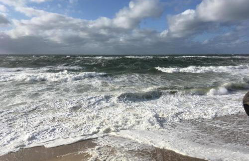 Klangwald Sylt HOUSE | Apartment *Anker* - Foto 35