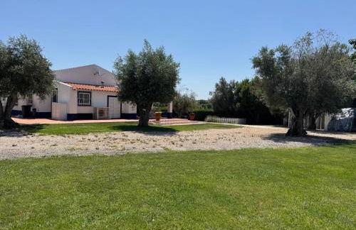 Casa das Oliveiras - Foto 6