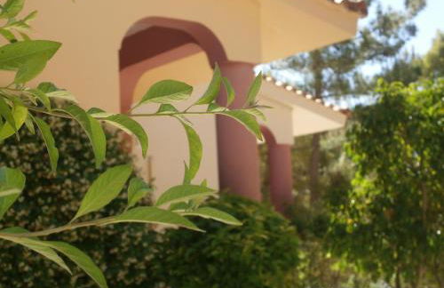 Kefallonia Bay Resort - Foto 40