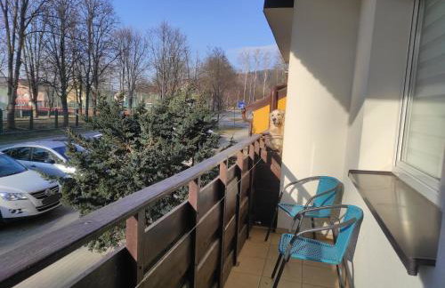 Apartament Stronie Ski & Summer - Foto 10