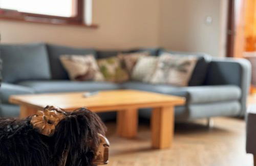 Apartamenty na Soszowie, Wisła - widokowe miejsce z Balią & Prywatną Sauną, obok stoku narciarskiego i Bike Parku, dla max 16 osób - Foto 44