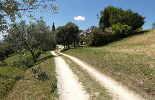 Scappo in Umbria, Collefiorito - Foto 15