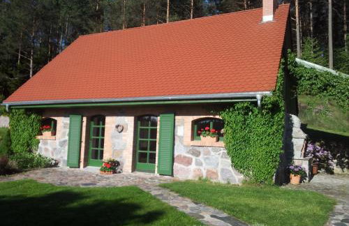 Pustki Rekowskie - Zielone Serce Kaszub - Foto 8