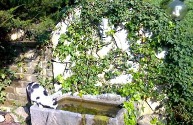 Villa con piscina - Foto 8