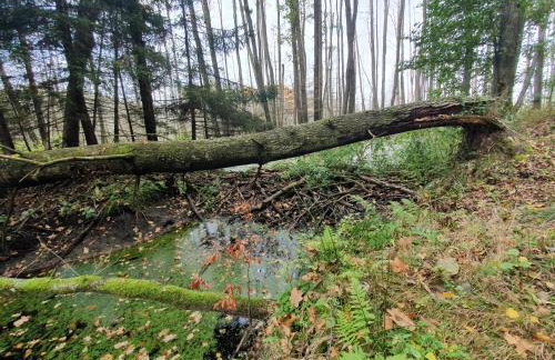 Zaciszne SPA - Foto 17