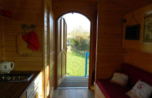 La Canfouine - Photo 11