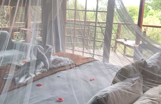 Teniqua Treetops - Foto 25