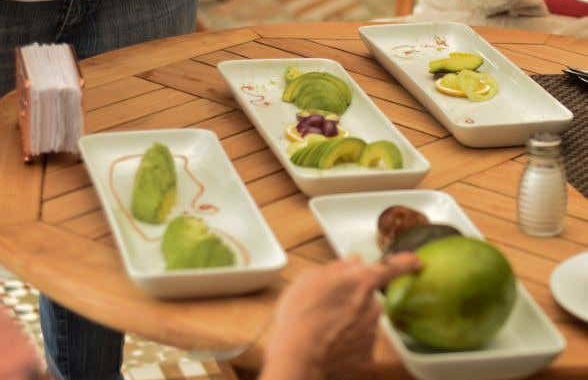 Manizales Avocado Tour - Foto 1