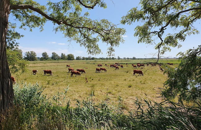 Apartements im Seepark Sellin - Foto 40