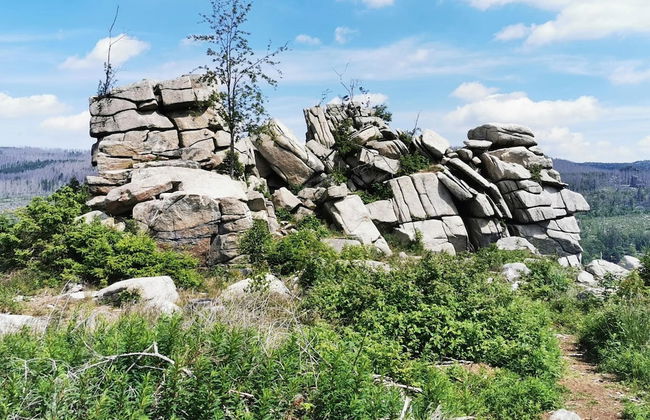 Holiday Homes in the Schierke Harzresort, Schierke - Photo 75