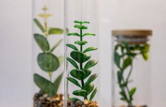 Rigel Apartments 4 - Foto 17