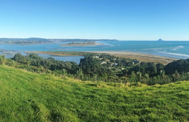 Ohiwa Seascape Studios - Foto 18