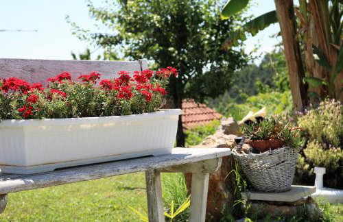 Apartments Ema - Foto 34